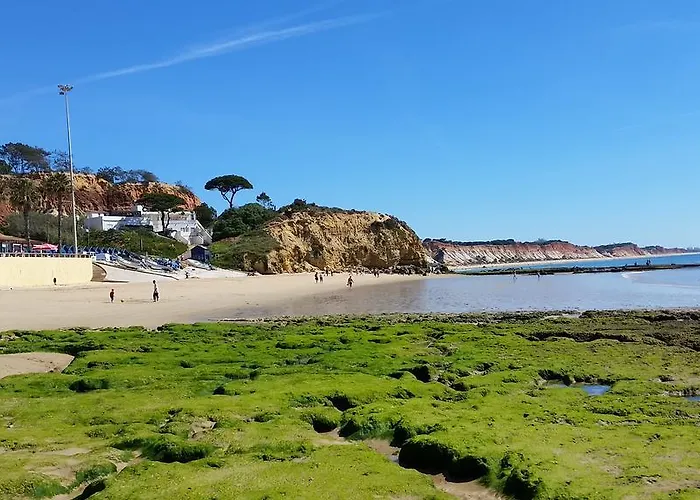 Vista Ondas 205 B2 - Olhos De Agua